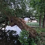 Krzywy Zakatek * Krzywe (Olecko)