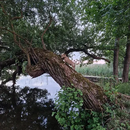 Krzywy Zakatek * Krzywe (Olecko)